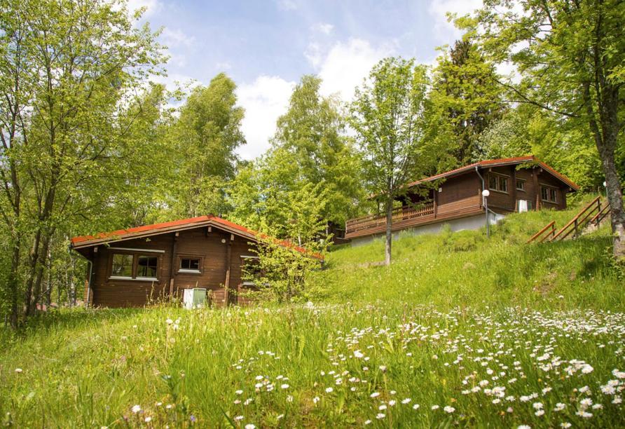 Werrapark Resort Ferienhaeuser Am Sommerberg Premium ماسيربيرغ المظهر الخارجي الصورة